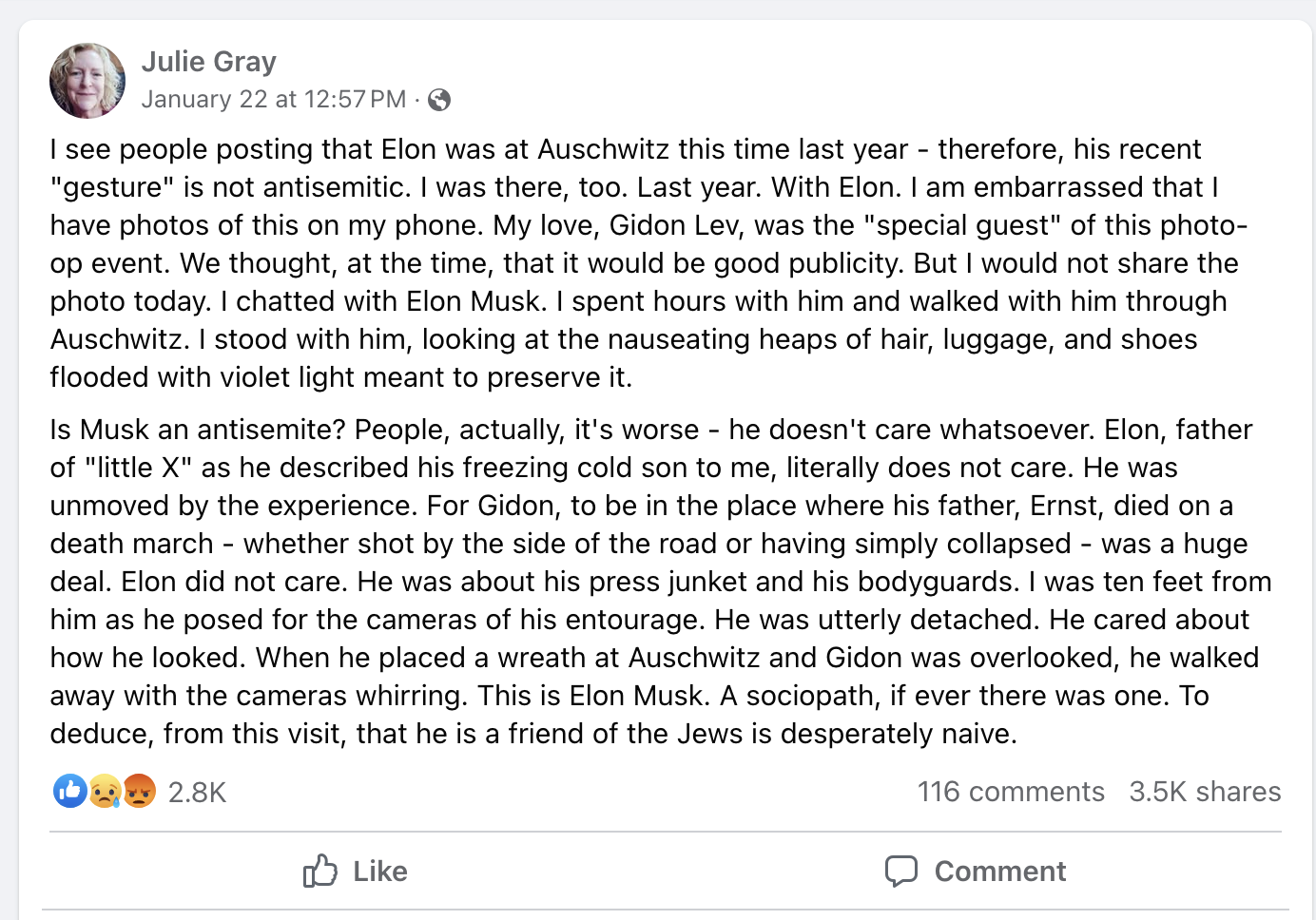 Biographer Julie Gray comments on the Elon Nazi salute